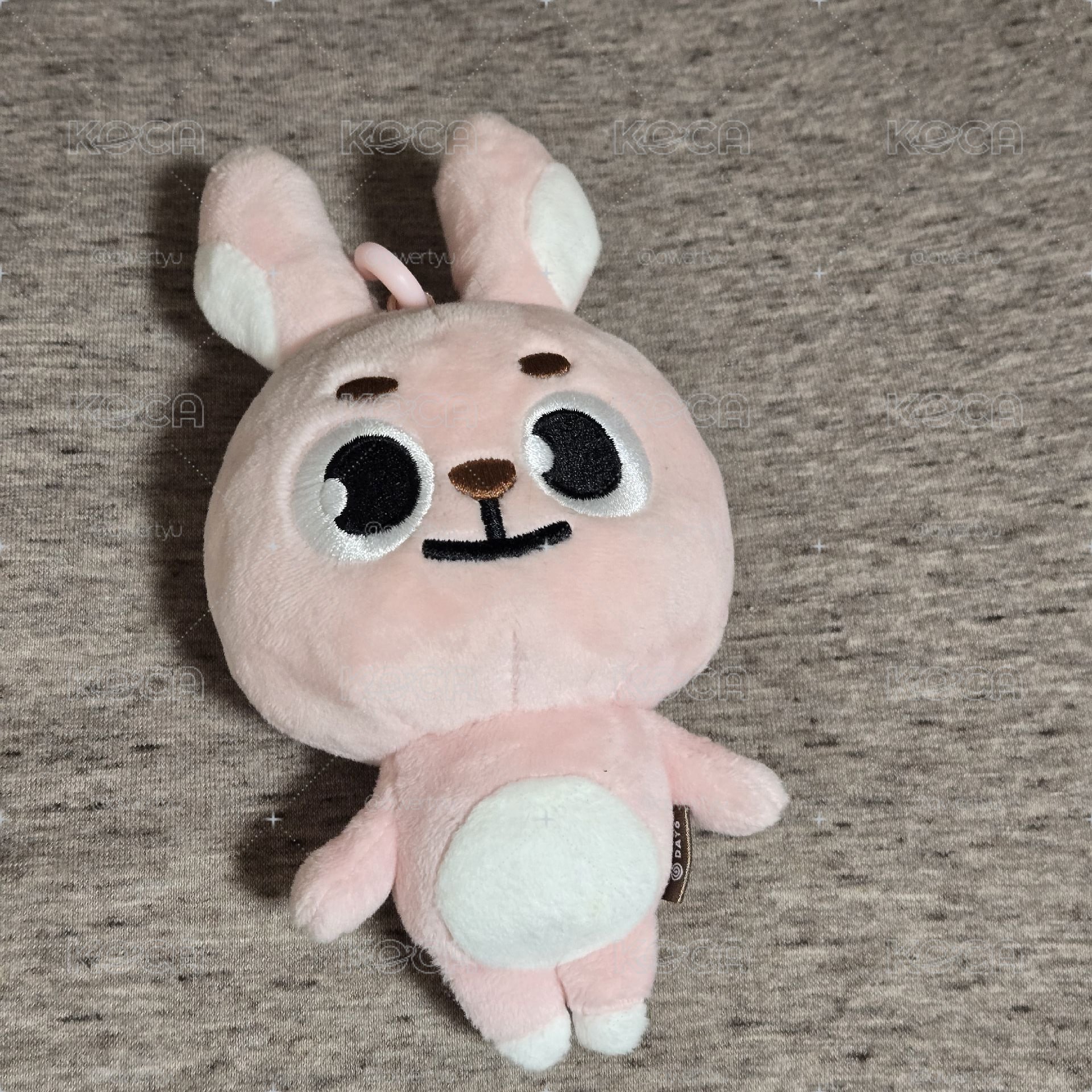 元弼兔