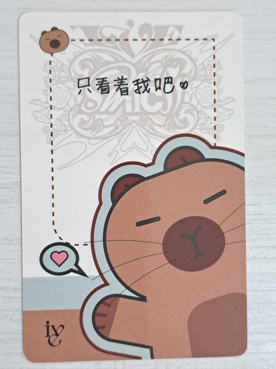 IVE SWITCH yzy 3.0 簽售卡 卡皮巴拉安 只看著我吧