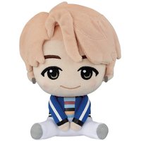 TinyTAN DNA 中娃 一番賞 RM賞