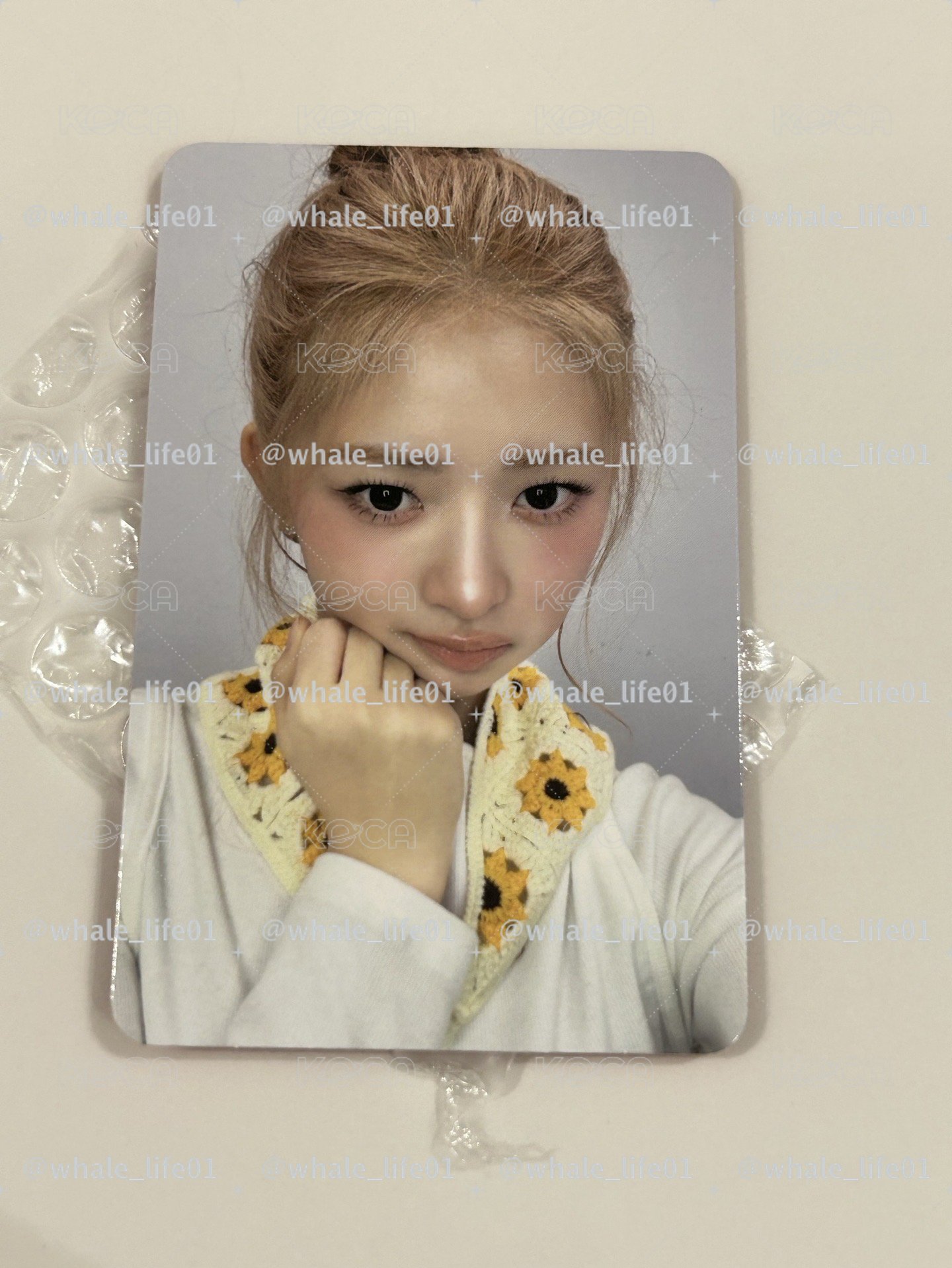 ms末簽 向日葵怜