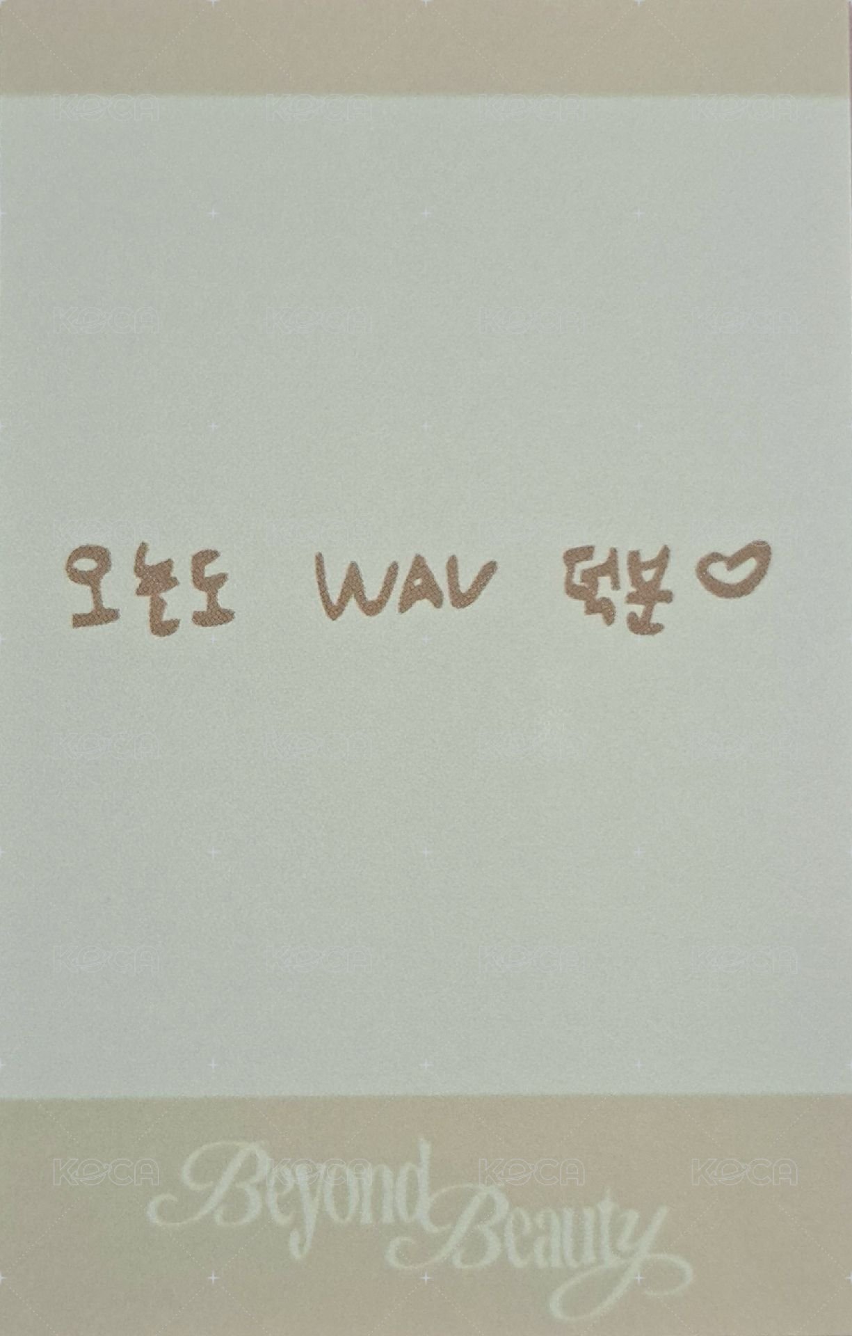 msnz<Beyond Beauty> am 特典卡  背面