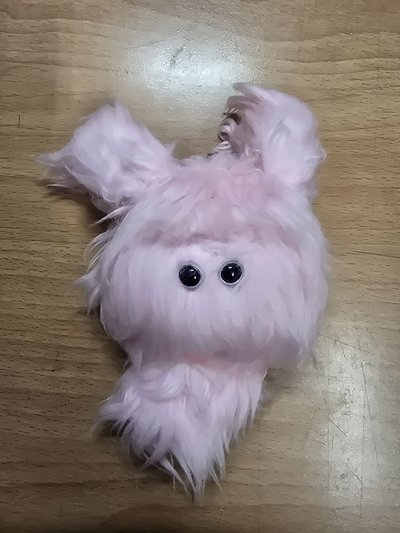 圭水母 （下單前請詳閱說明後私訊我）