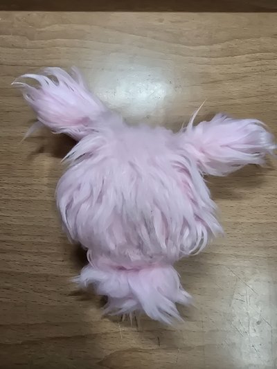 圭水母 （下單前請詳閱說明後私訊我）