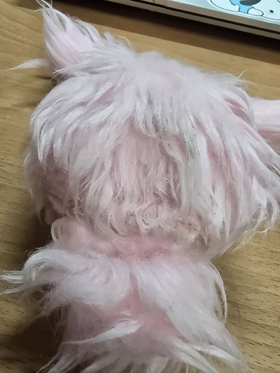 圭水母 （下單前請詳閱說明後私訊我）