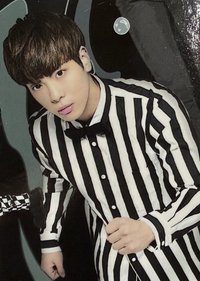 仙境夢遊 隨機卡 100