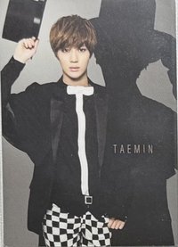 仙境夢遊 隨機卡 40