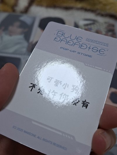 迷五快閃 yzy北京第一週 滿額來 可愛小狗不允許你沒有 