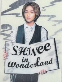 仙境夢遊 隨機卡 16