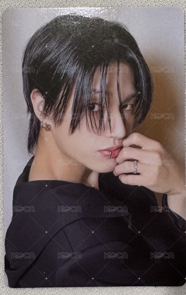 回眸黑貓
