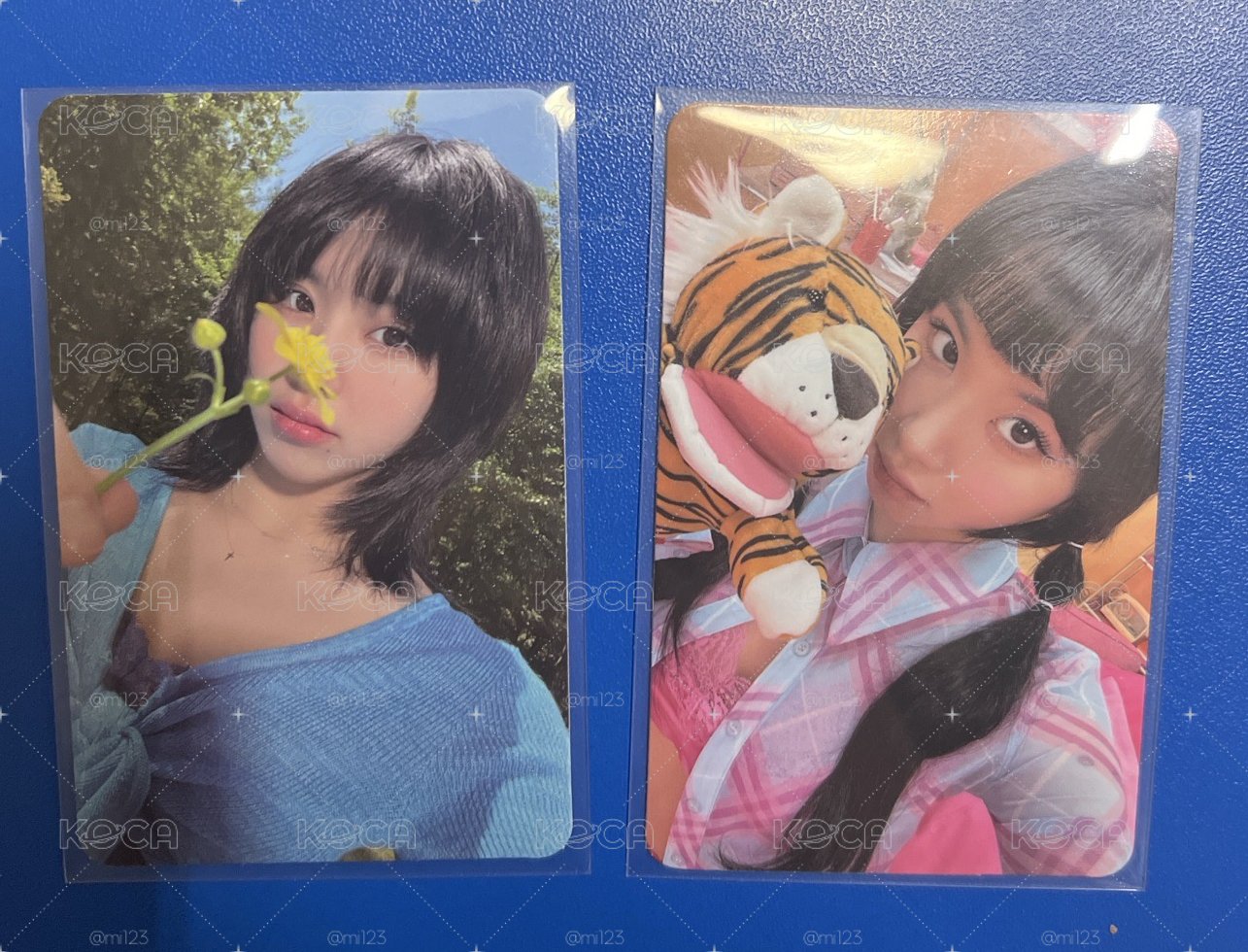 彩瑛
