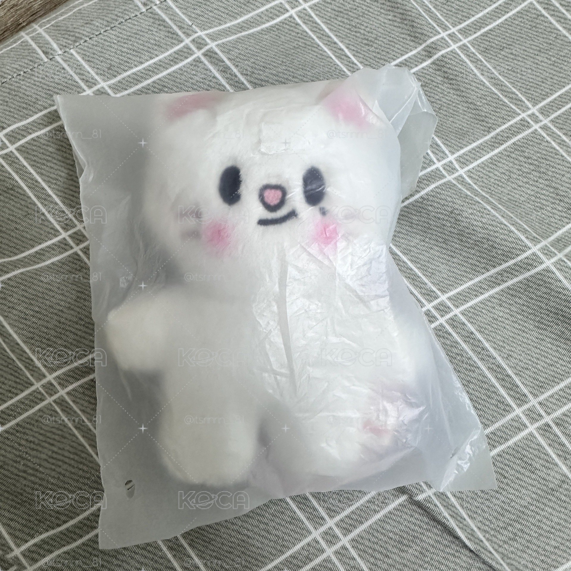 辰 站姿 Skzoo