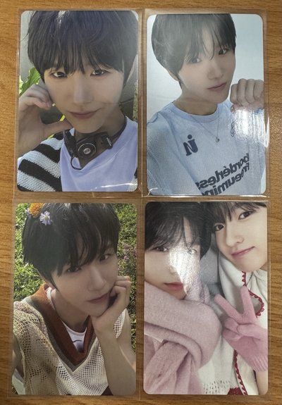 NCT WISH jaehee 小卡