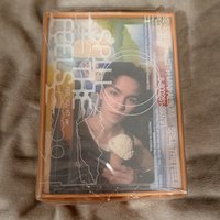 mini12橘版-率-全專