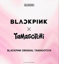BLACKPINK x Tamagotchi