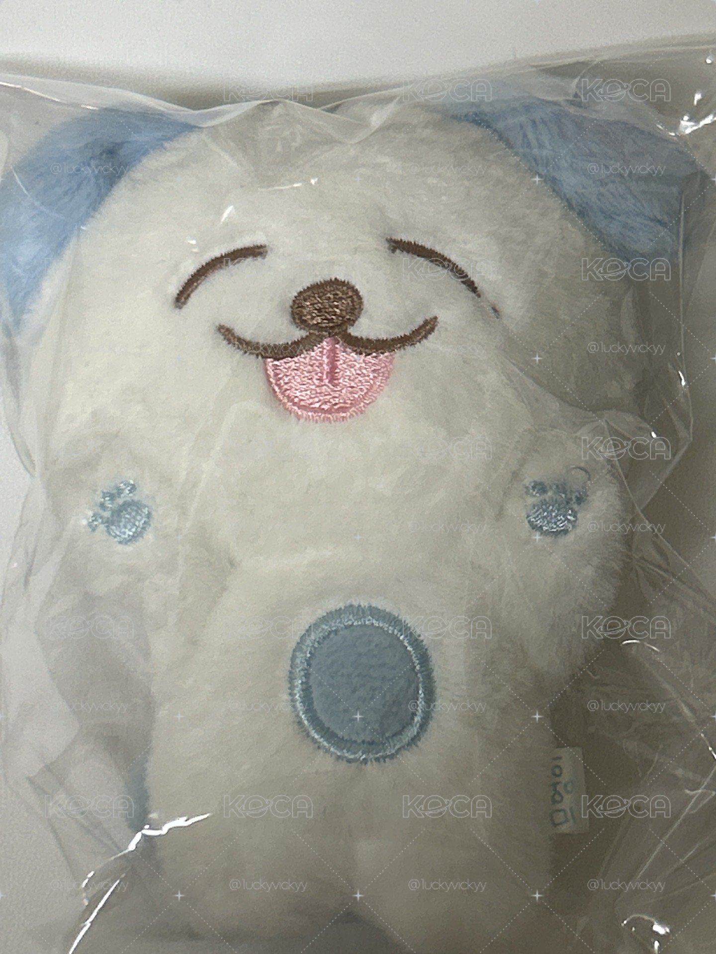 jeno快閃娃 懵懵尼