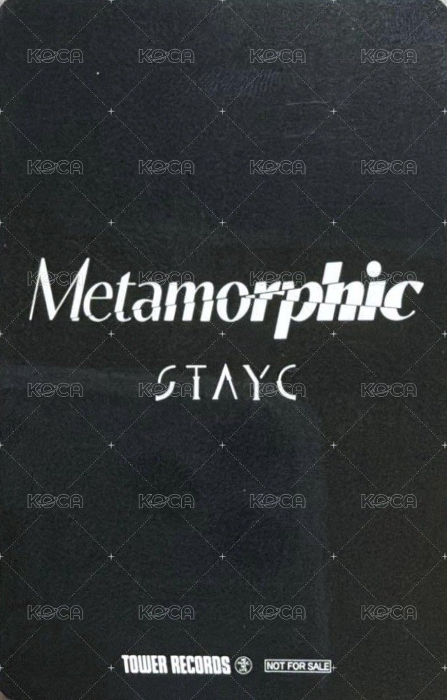 正規一 塔店 特典卡  背面