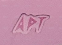 右APT
