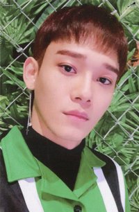 Blooming Days 專輯卡 