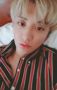 正規五輯 專輯卡 