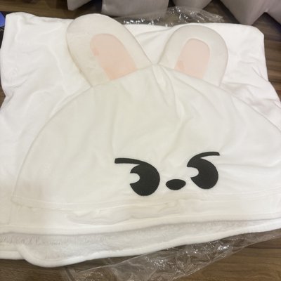 SKZOO Leebit 李畢 日本 聖誕快閃 毛毯 DKZ