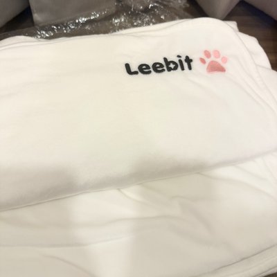 SKZOO Leebit 李畢 日本 聖誕快閃 毛毯 DKZ