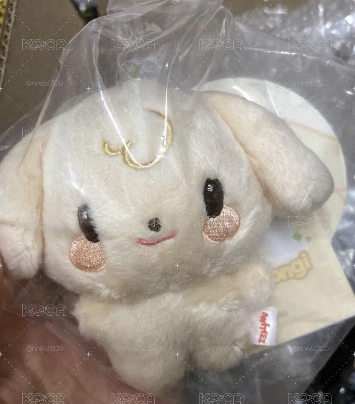 寶寶潤