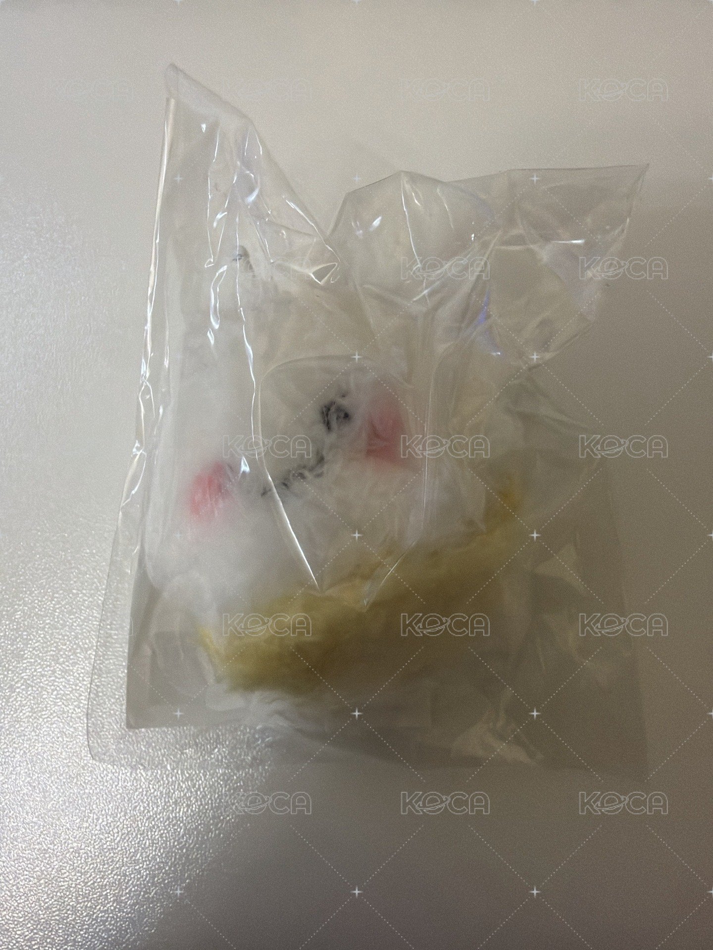 迷你泰蛋
