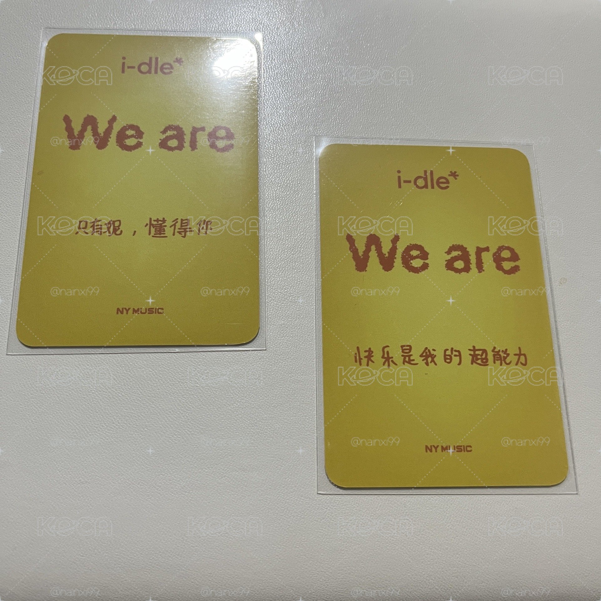 琦妮 楠藝上海線下（中文卡背）