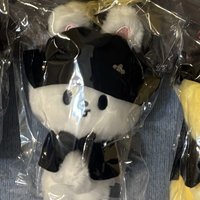  COSTUME MAGNET PLUSH KEYRING -Leebit需帶兩張燦或彬卡