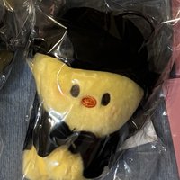  COSTUME MAGNET PLUSH KEYRING -BbokAri需帶兩張燦或彬卡