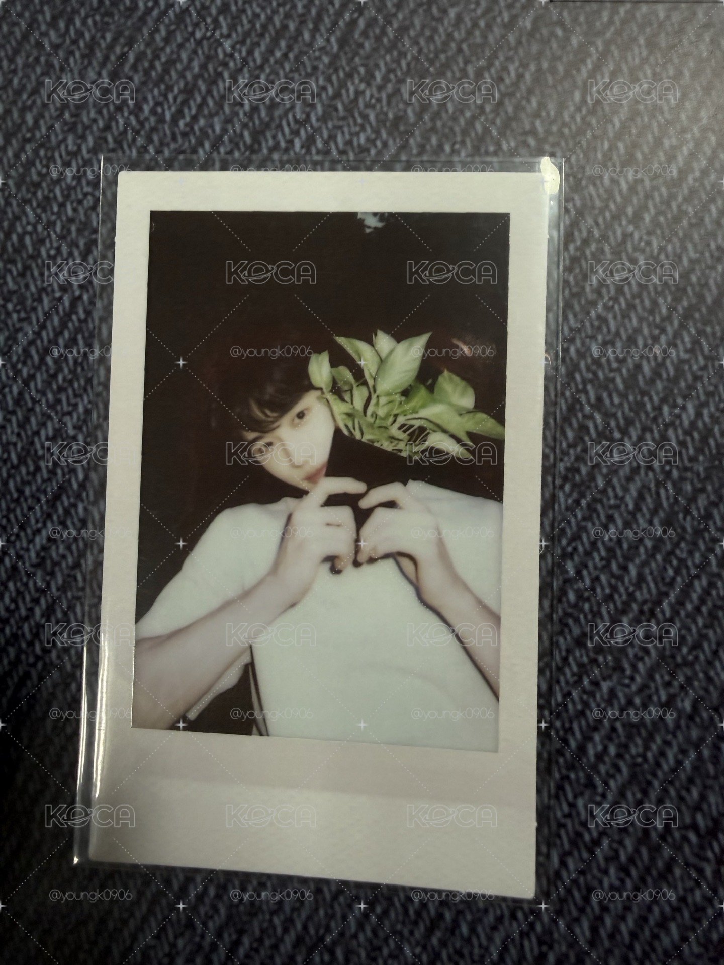 25年曆舉花盆邊