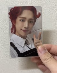 迷二貝多芬比耶鴨（有廠損）