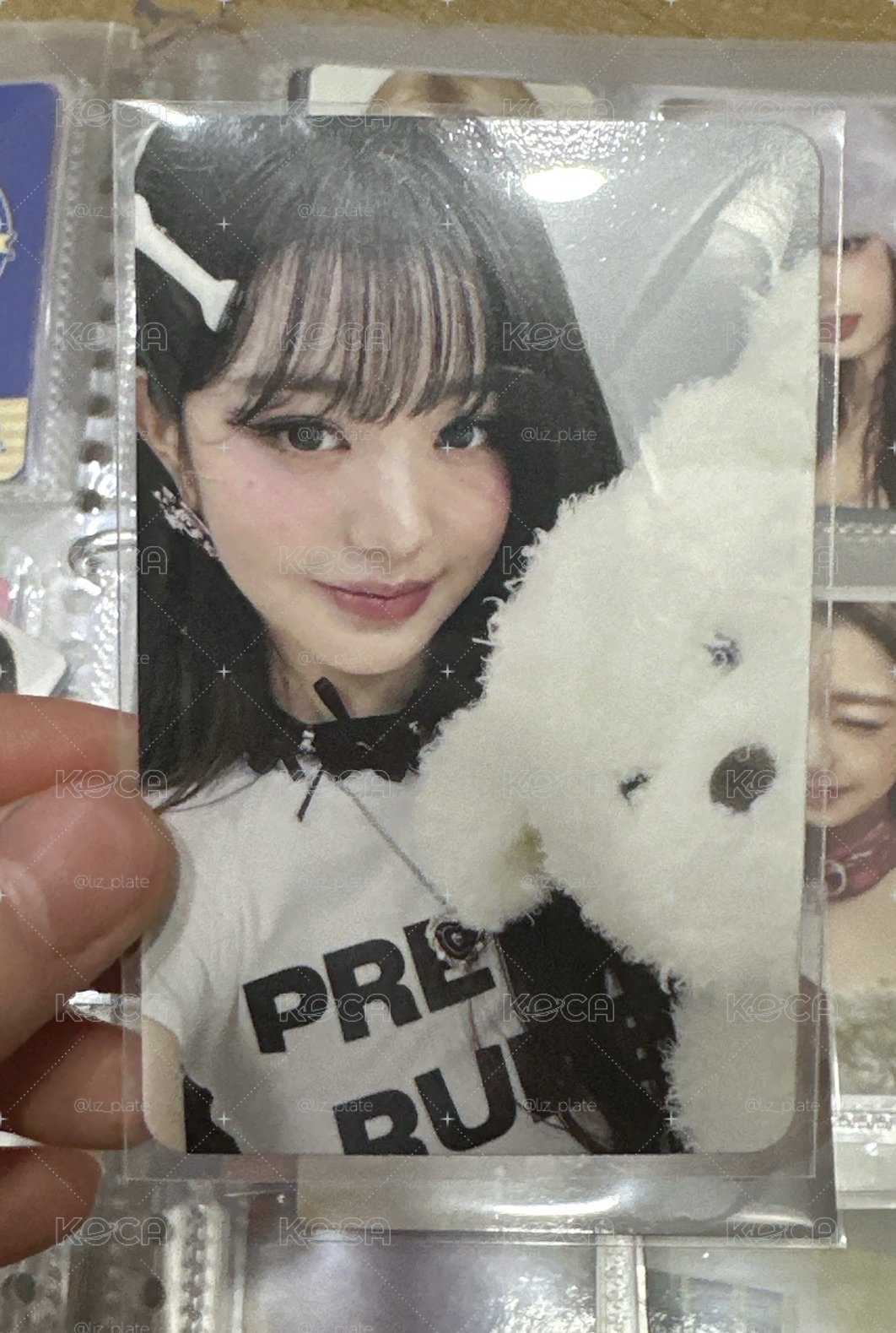 🐶狗狗員