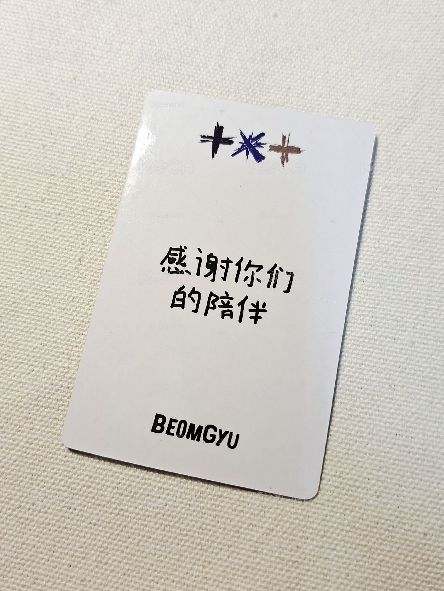正規三中背