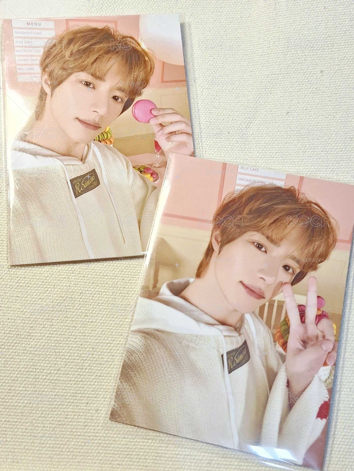 🌟金髮微捲小狗