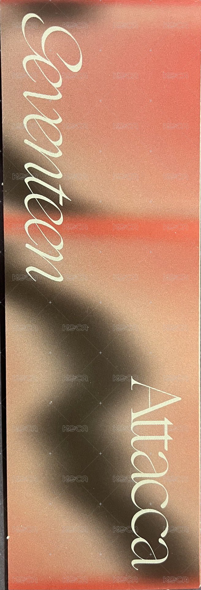 MINI9 書籤  背面