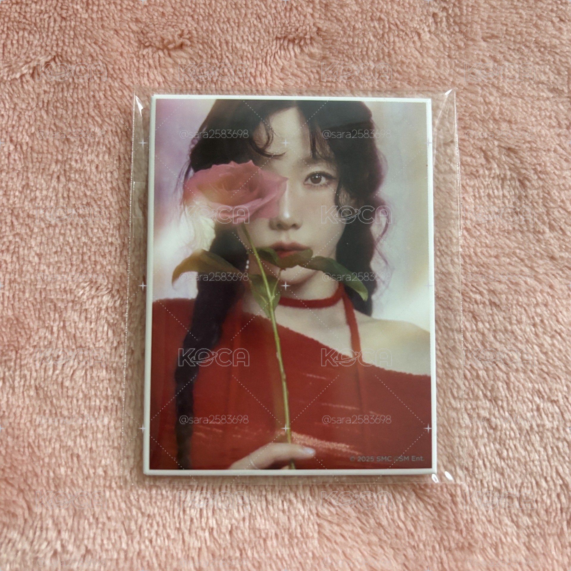 The TENSE 日場 扭蛋盲盒 徽章