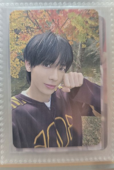 數星星中背 彬顯寧