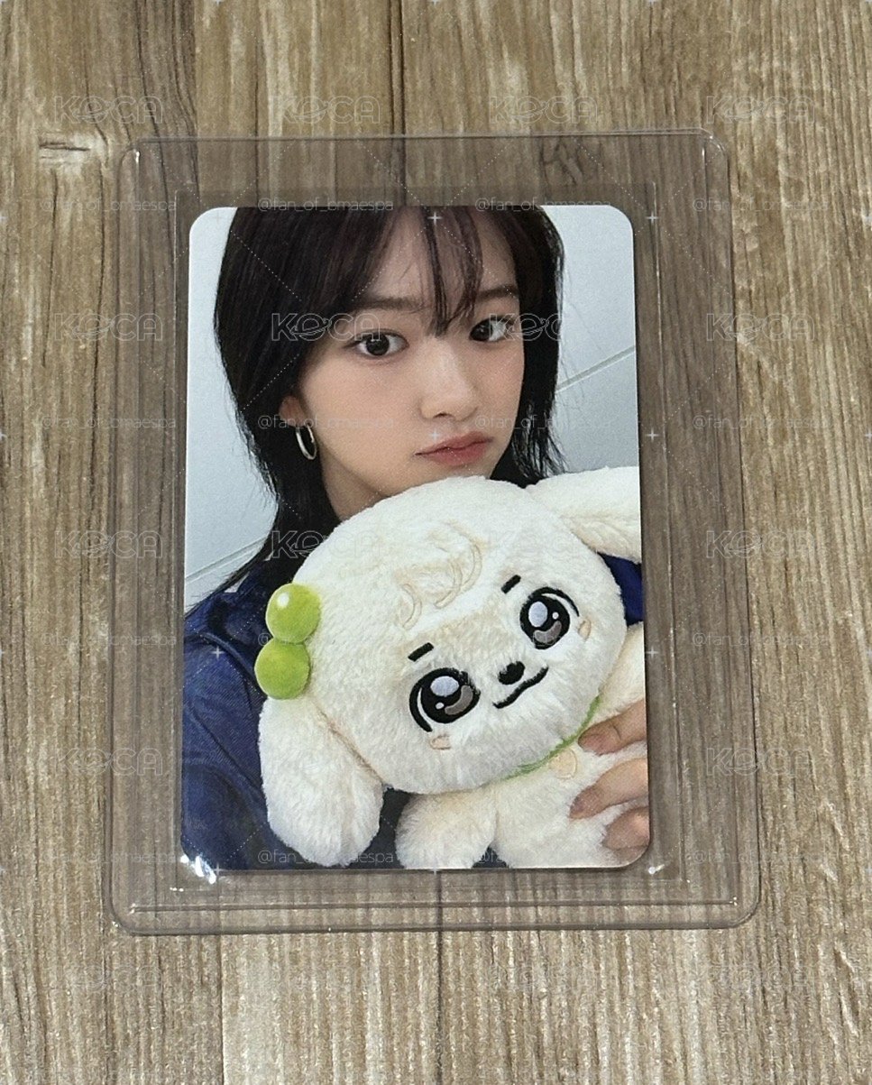 安狗狗小卡區