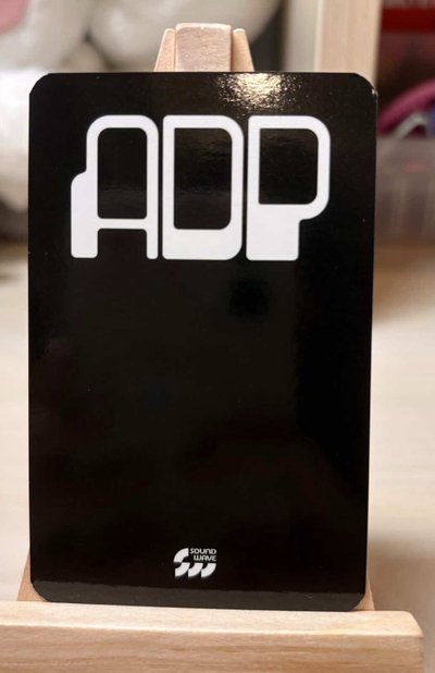 All day project Annie