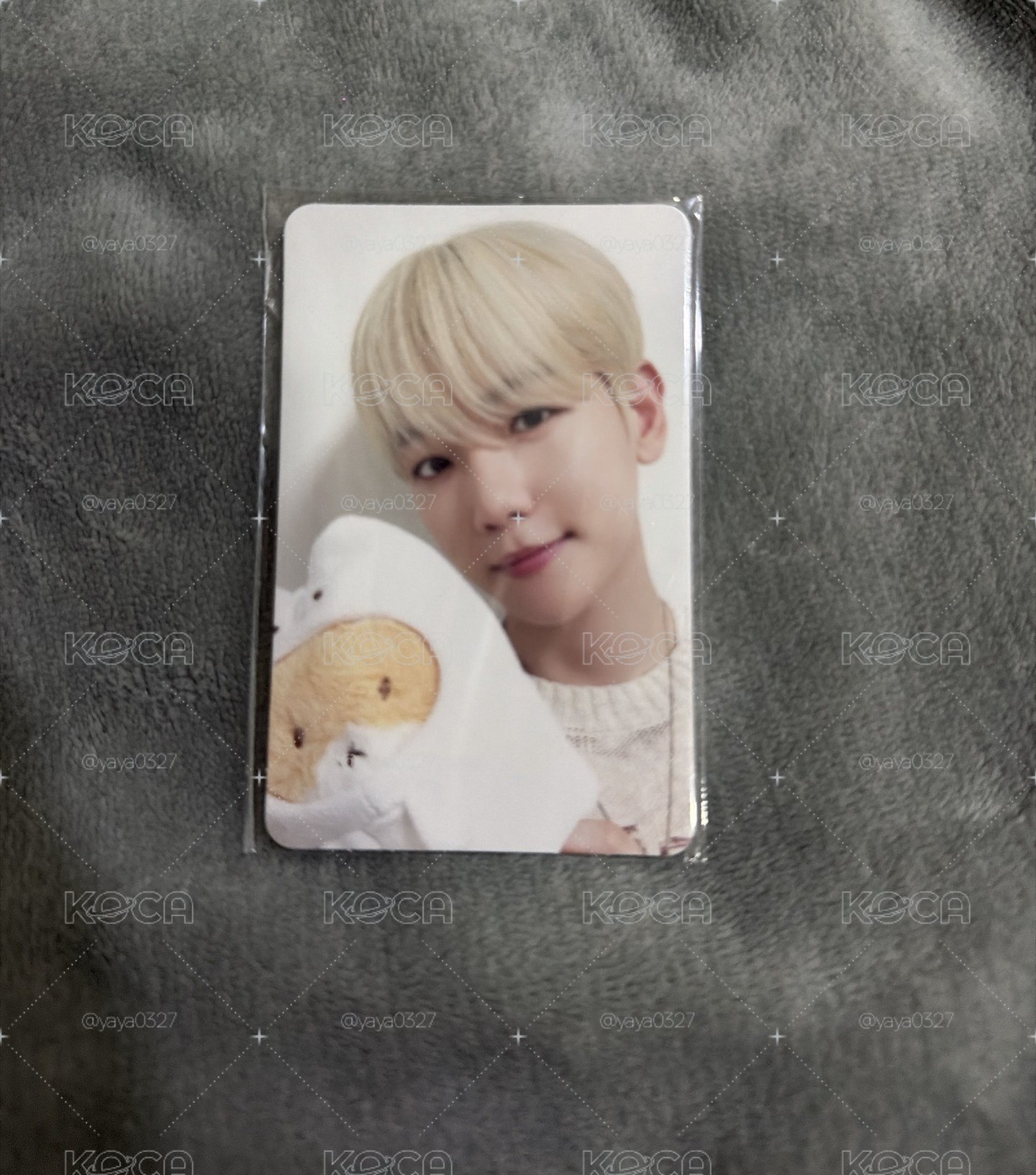 BAEKHYUN 特萊奇小卡