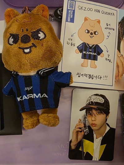 KARMA 電子專全專-未掃