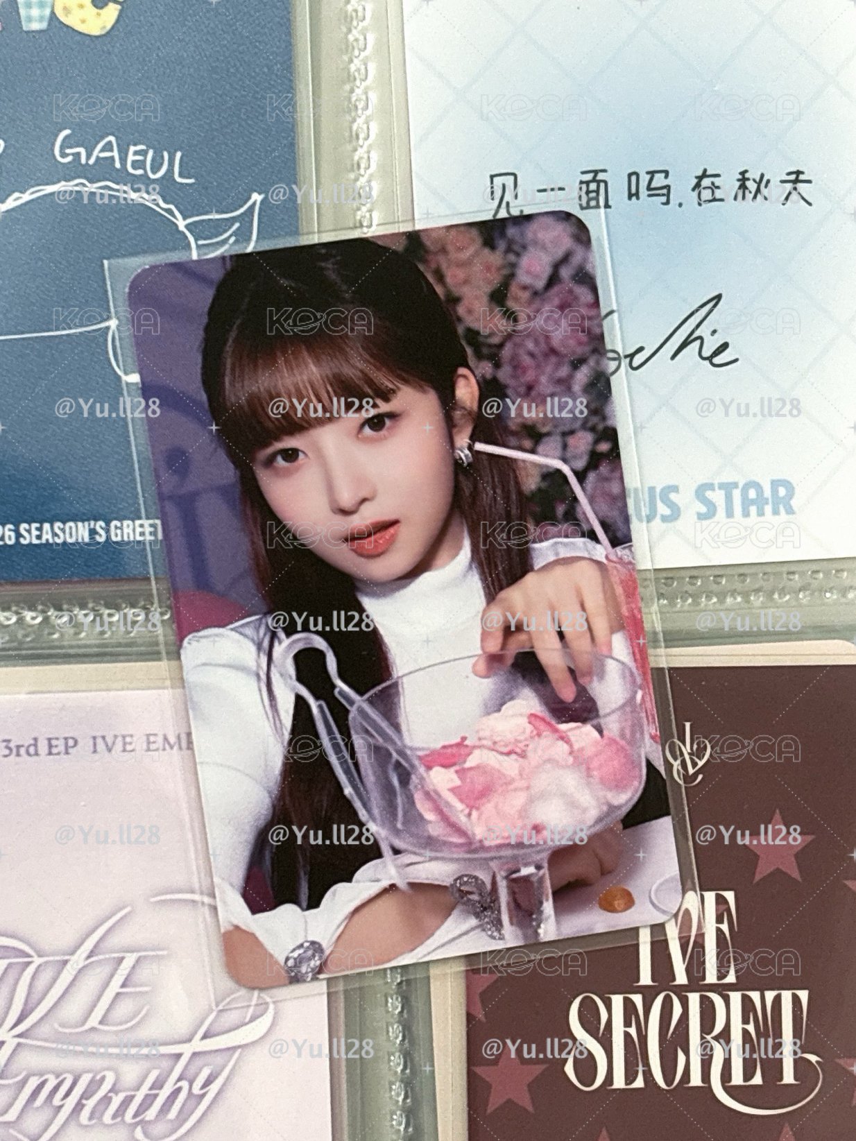 23年 隨機卡 官拍（抽演唱會