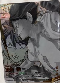 1.0 卡牌遊戲 TCG