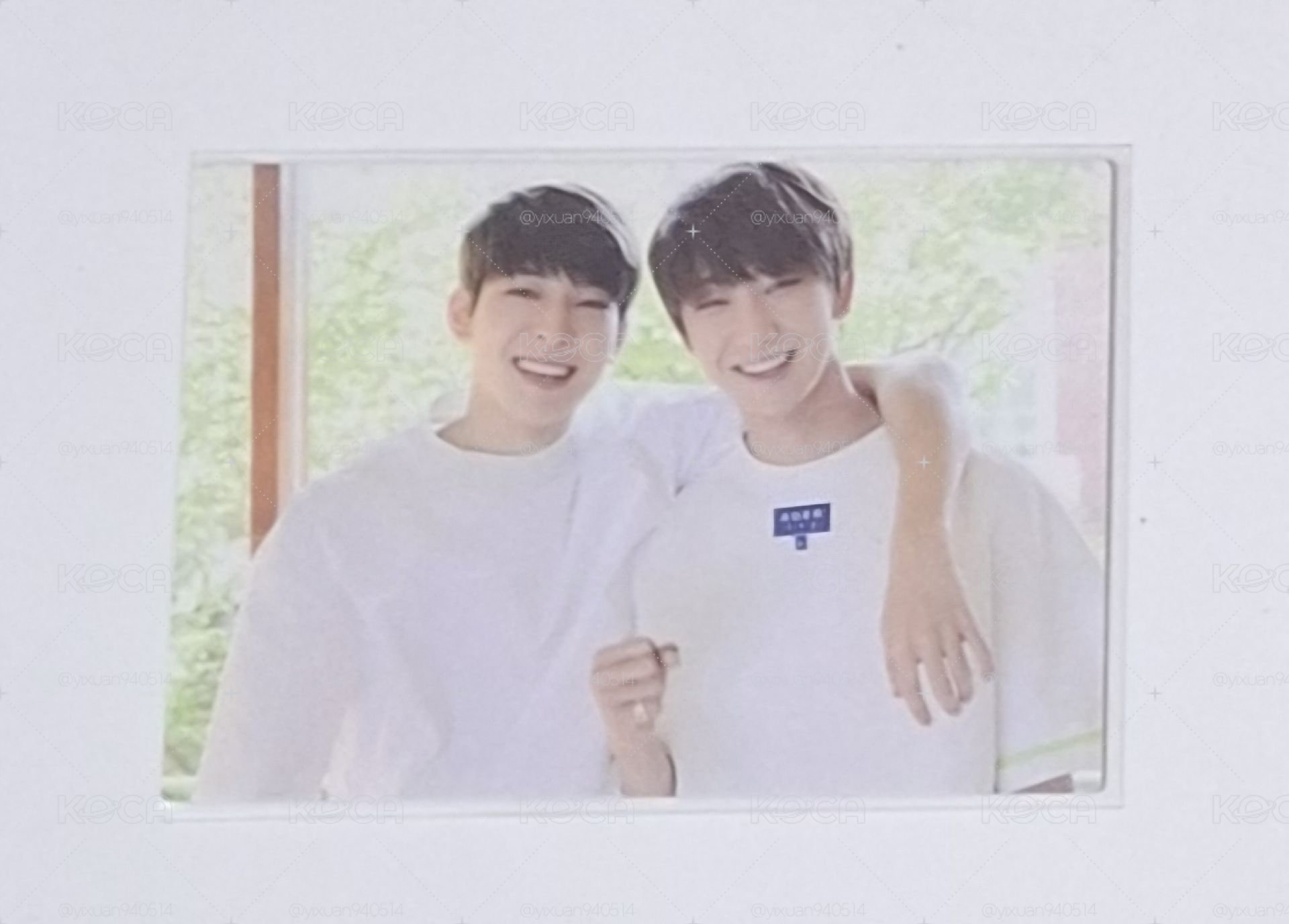 wonwoo、the8小卡