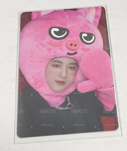 豬兔彬