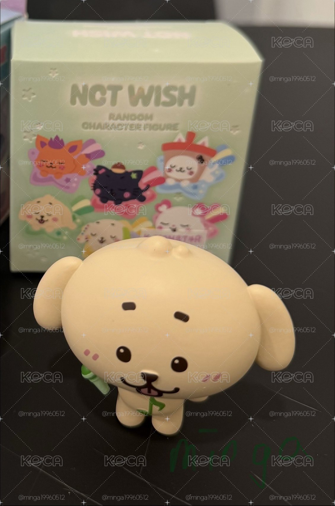 NCT WISH 隨機盲盒 叮特里公仔