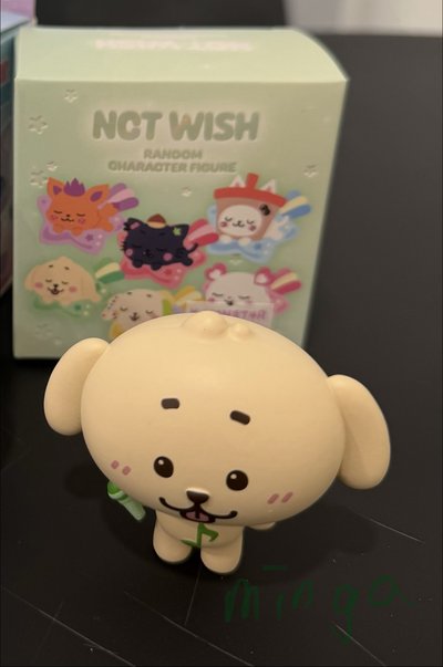 NCT WISH 隨機盲盒 叮特里公仔