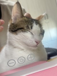 Winnie