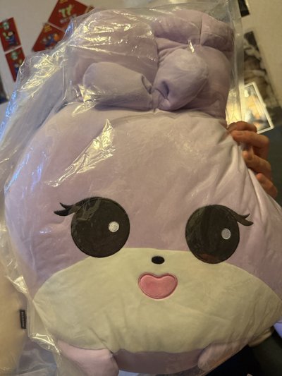 肉秀抱枕、秀大娃